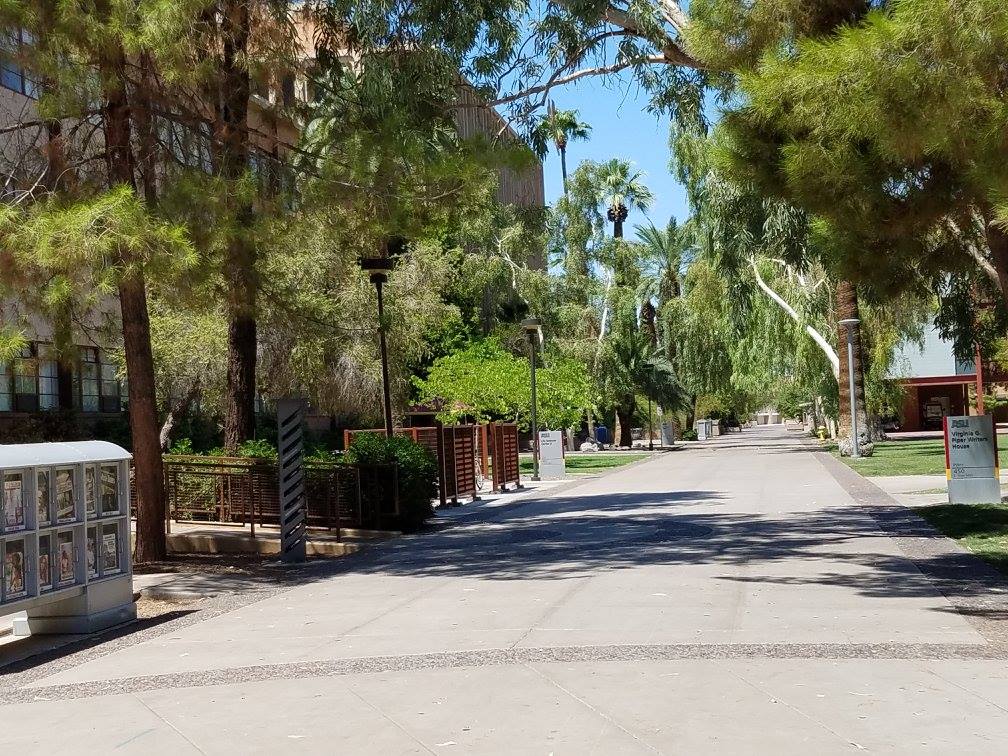 Arizona State University campus walkway filled with palm trees and other greenery.